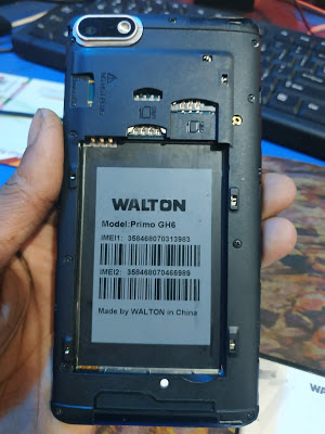 Walton Primo GH6 Dump File